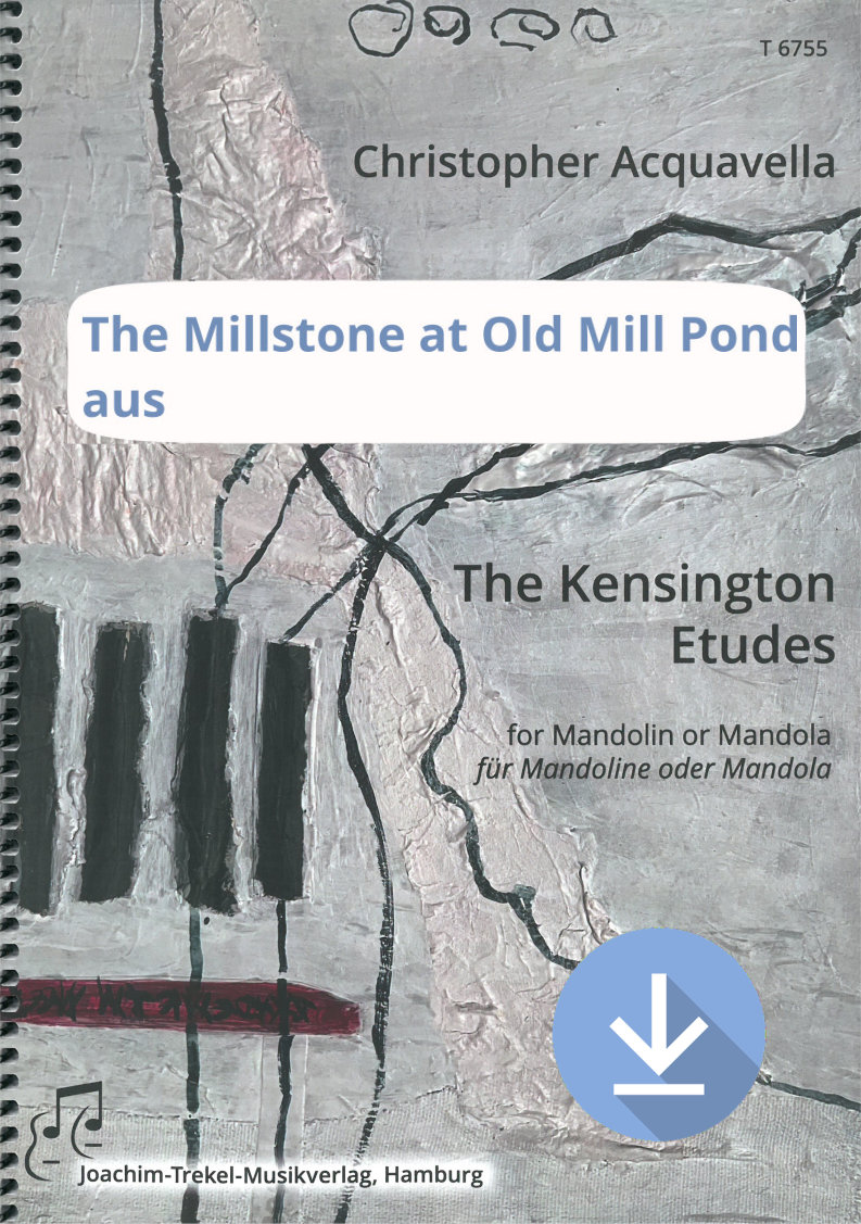 The Millstone at Old Mill Pond
